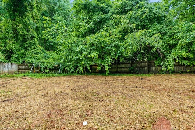 1700 Old Hollow Rd, Walkertown, NC 27051 - view of yard