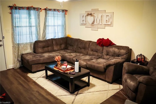 living room with wood finished floors