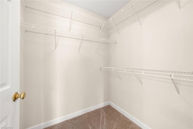 145 Millers Crossing Ct, Winston-Salem, NC 27103 - walk in closet with carpet flooring