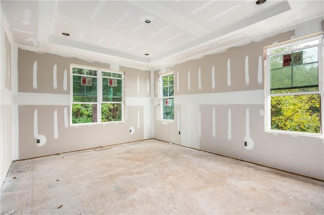 unfurnished room featuring a raised ceiling