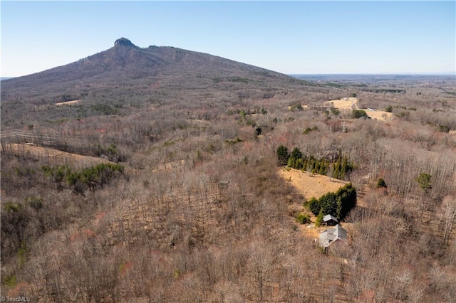 222 Hummingbird Ln, Pilot Mountain NC, 27041 land for sale