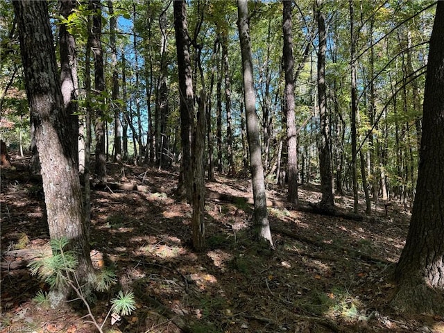 Listing photo 3 for LOT70 Sutters Ridge Rd, Mcgrady NC 28649