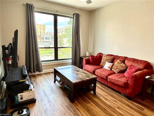 411 Washington St Unit 204, Greensboro, NC 27401 - living room featuring wood finished floors and ceiling fan