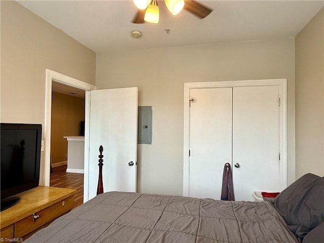 411 Washington St Unit 204, Greensboro, NC 27401 - bedroom with electric panel, wood finished floors, a closet, and ceiling fan