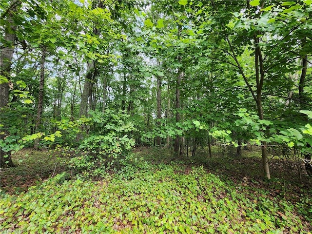 2874 Sierra Trace Rd, Denton NC, 27239 land for sale