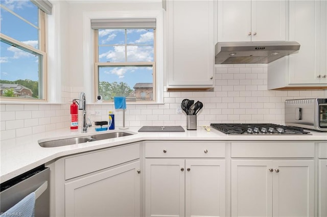 6006 Tanoak Ct, Stokesdale, NC 27357 - kitchen with under cabinet range hood, a sink, stainless steel appliances, and backsplash