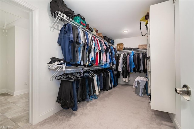 6006 Tanoak Ct, Stokesdale, NC 27357 - walk in closet with attic access and carpet flooring
