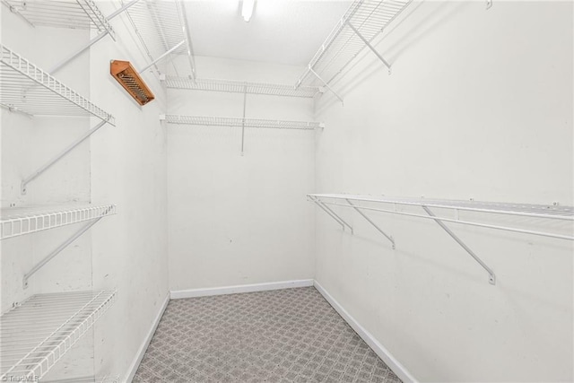 walk in closet featuring carpet floors