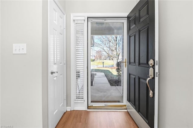 entrance foyer featuring wood finished floors