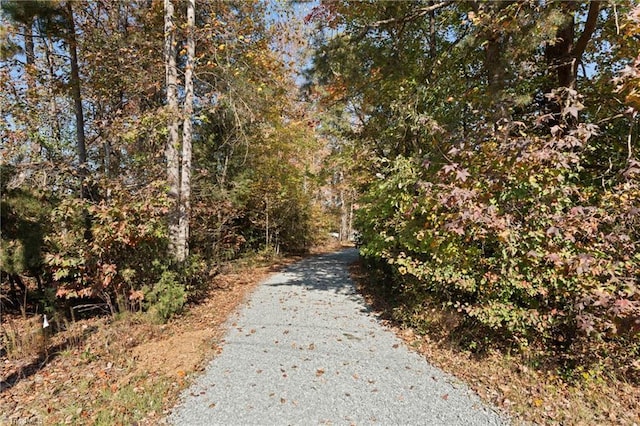 view of road featuring a wooded view