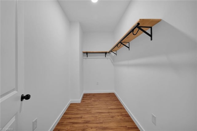 spacious closet with light wood-type flooring