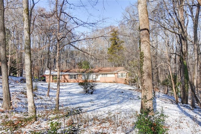 view of yard covered in snow