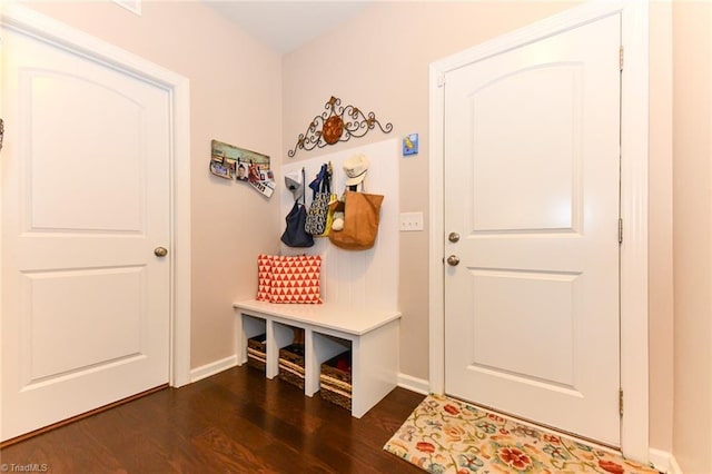 mudroom featuring dark hardwood / wood-style flooring