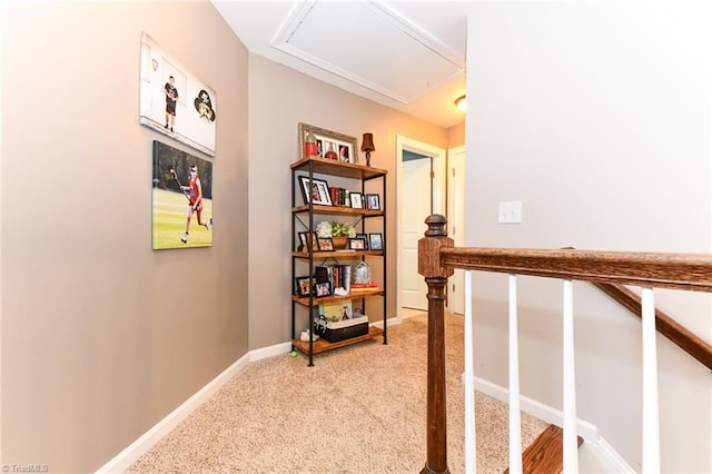 hallway featuring carpet floors