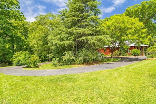 1134 Edwards Farm Rd, King, NC 27021 - view of green lawn featuring driveway