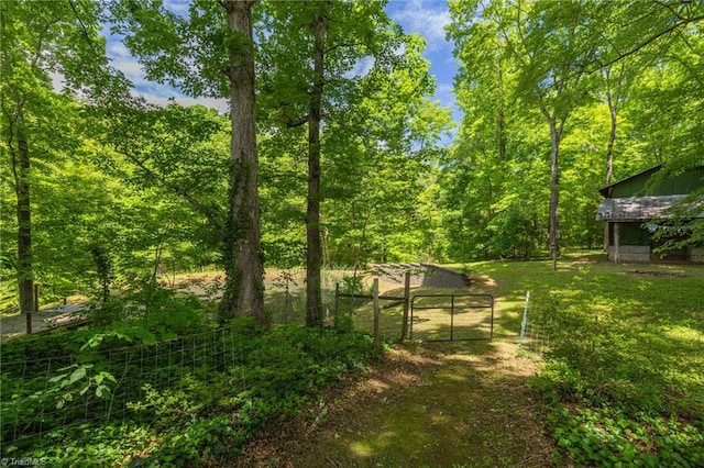 1134 Edwards Farm Rd, King, NC 27021 - view of yard featuring a gate and a wooded view