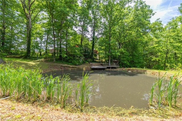 1134 Edwards Farm Rd, King, NC 27021 - view of yard