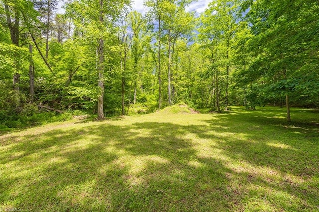 1134 Edwards Farm Rd, King, NC 27021 - view of grassy yard featuring a forest view