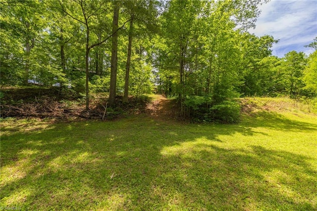 1134 Edwards Farm Rd, King, NC 27021 - view of green lawn with a forest view