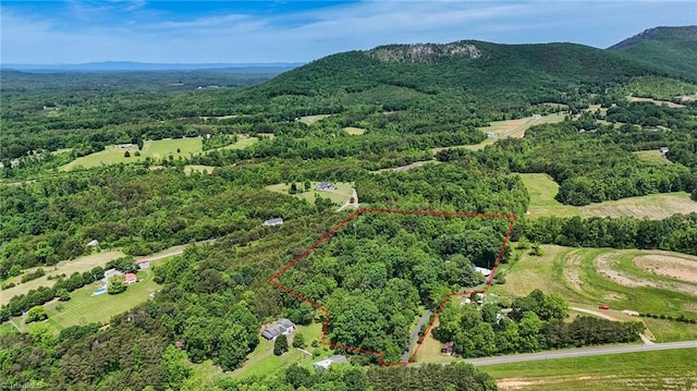 1134 Edwards Farm Rd, King, NC 27021 - view of property location with property parcel outlined and a heavily wooded area