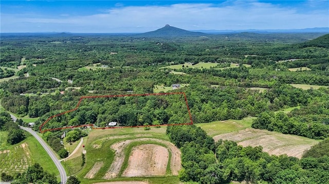 1134 Edwards Farm Rd, King, NC 27021 - aerial view of property's location with a heavily wooded area, property boundaries highlighted, and a mountain backdrop