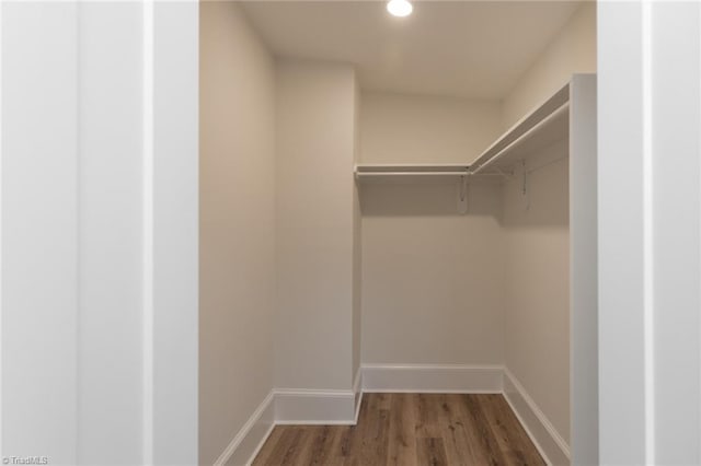 spacious closet featuring dark hardwood / wood-style flooring