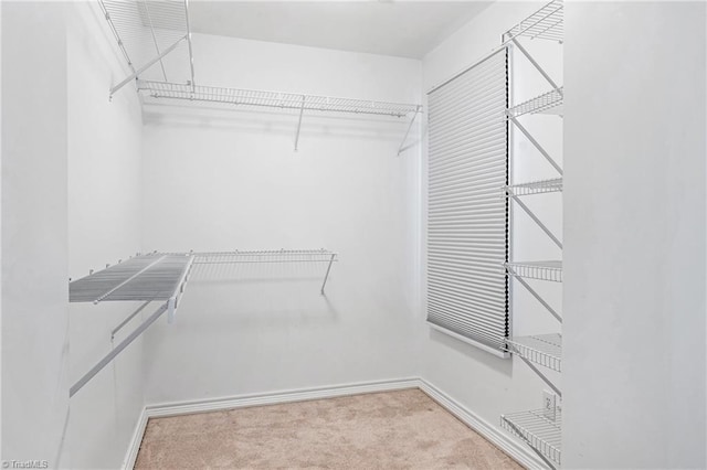 spacious closet with light colored carpet