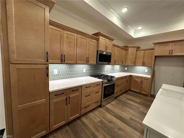 kitchen featuring light countertops, appliances with stainless steel finishes, backsplash, dark wood-style floors, and a raised ceiling