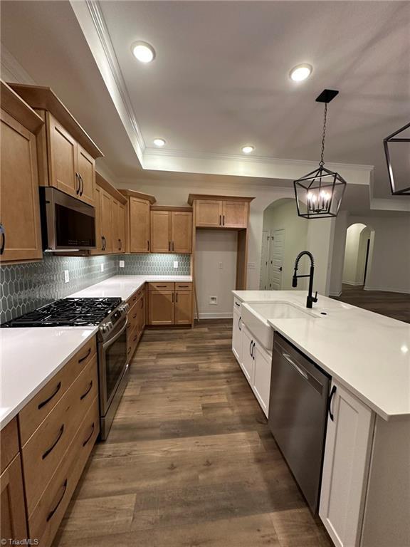 kitchen with stainless steel appliances, a tray ceiling, light countertops, and pendant lighting