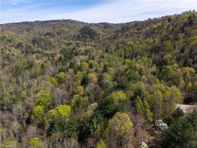 birds eye view of property featuring a wooded view and a mountain view