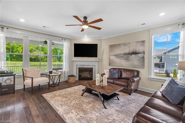 7733 Michaelis St, Greensboro, NC 27455 - living area featuring ceiling fan, plenty of natural light, baseboards, dark wood finished floors, and ornamental molding