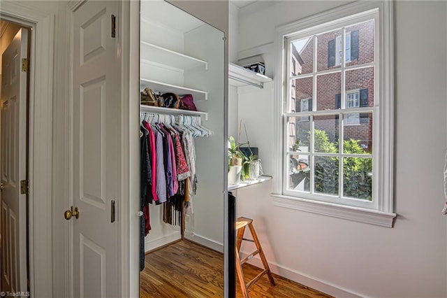 view of closet