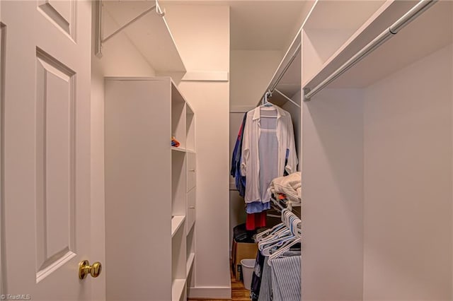 view of walk in closet