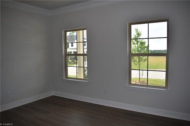 spare room featuring ornamental molding, a wealth of natural light, and dark wood-type flooring