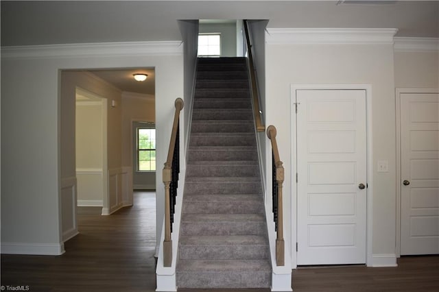 stairs with hardwood / wood-style floors and ornamental molding