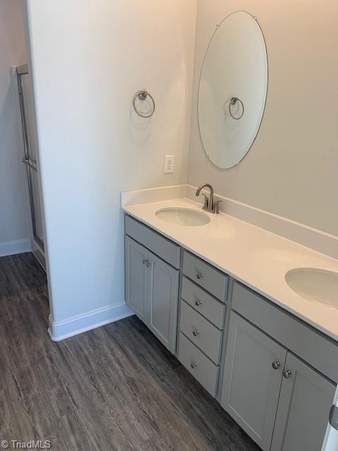 bathroom with hardwood / wood-style flooring and vanity