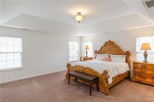 carpeted bedroom with a raised ceiling and multiple windows