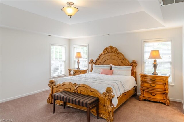 bedroom featuring multiple windows and light colored carpet