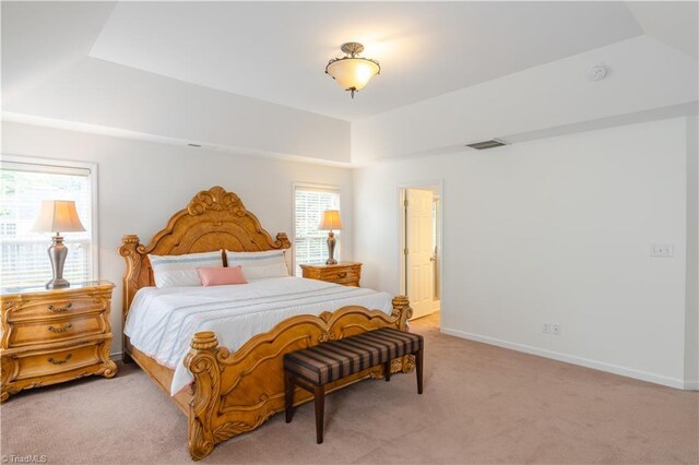 carpeted bedroom featuring a tray ceiling