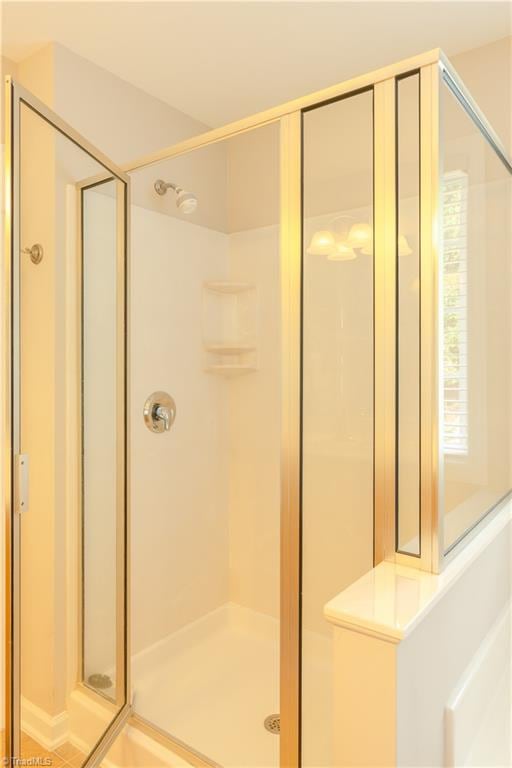 bathroom with a shower with shower door