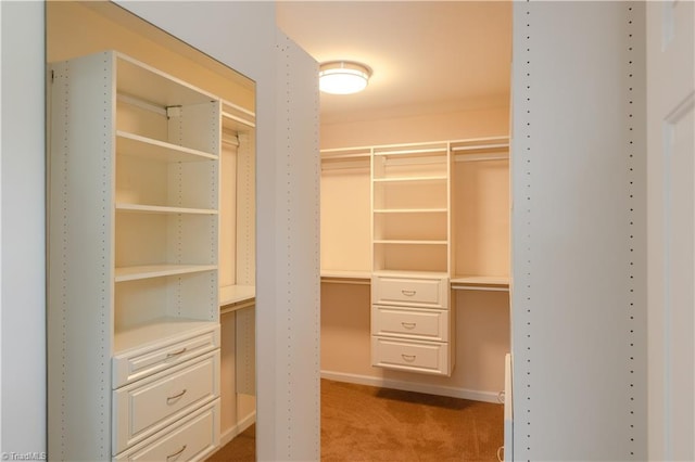 walk in closet with light colored carpet