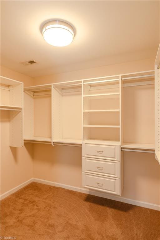 walk in closet featuring carpet