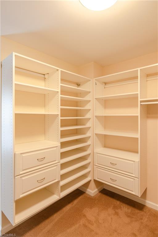 spacious closet with carpet