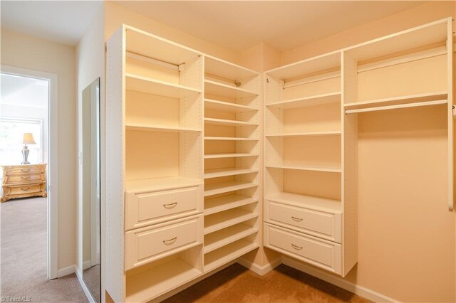 spacious closet with carpet floors