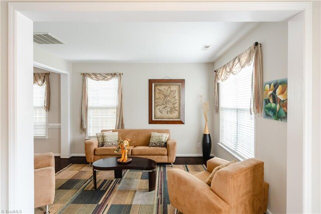 living room with wood-type flooring