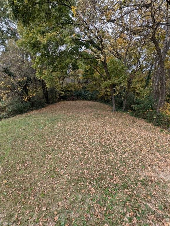 view of yard with a forest view