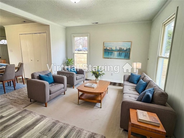 living room with ornamental molding and a textured ceiling