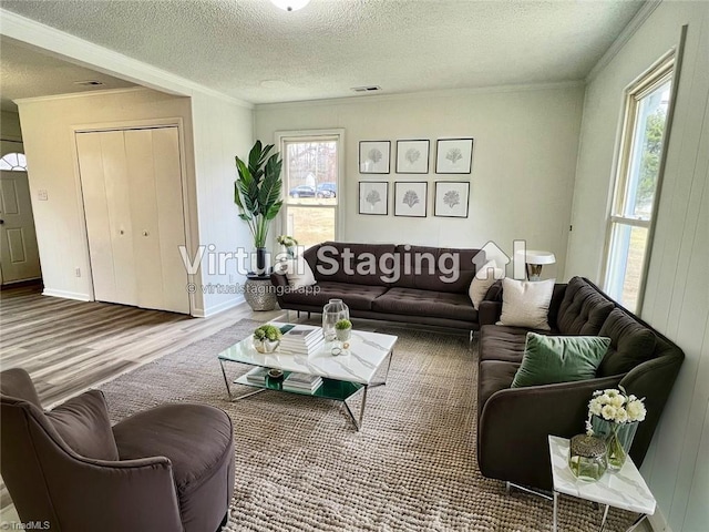 living room with hardwood / wood-style flooring, ornamental molding, and a textured ceiling