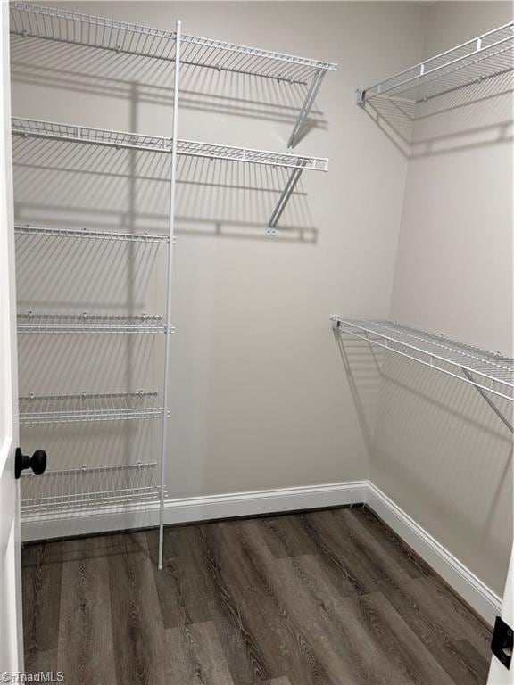 spacious closet with dark hardwood / wood-style flooring