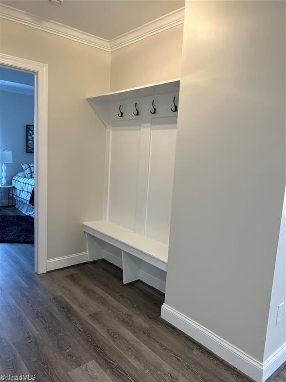 mudroom featuring dark hardwood / wood-style flooring and ornamental molding